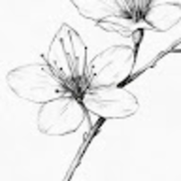 porridge_0